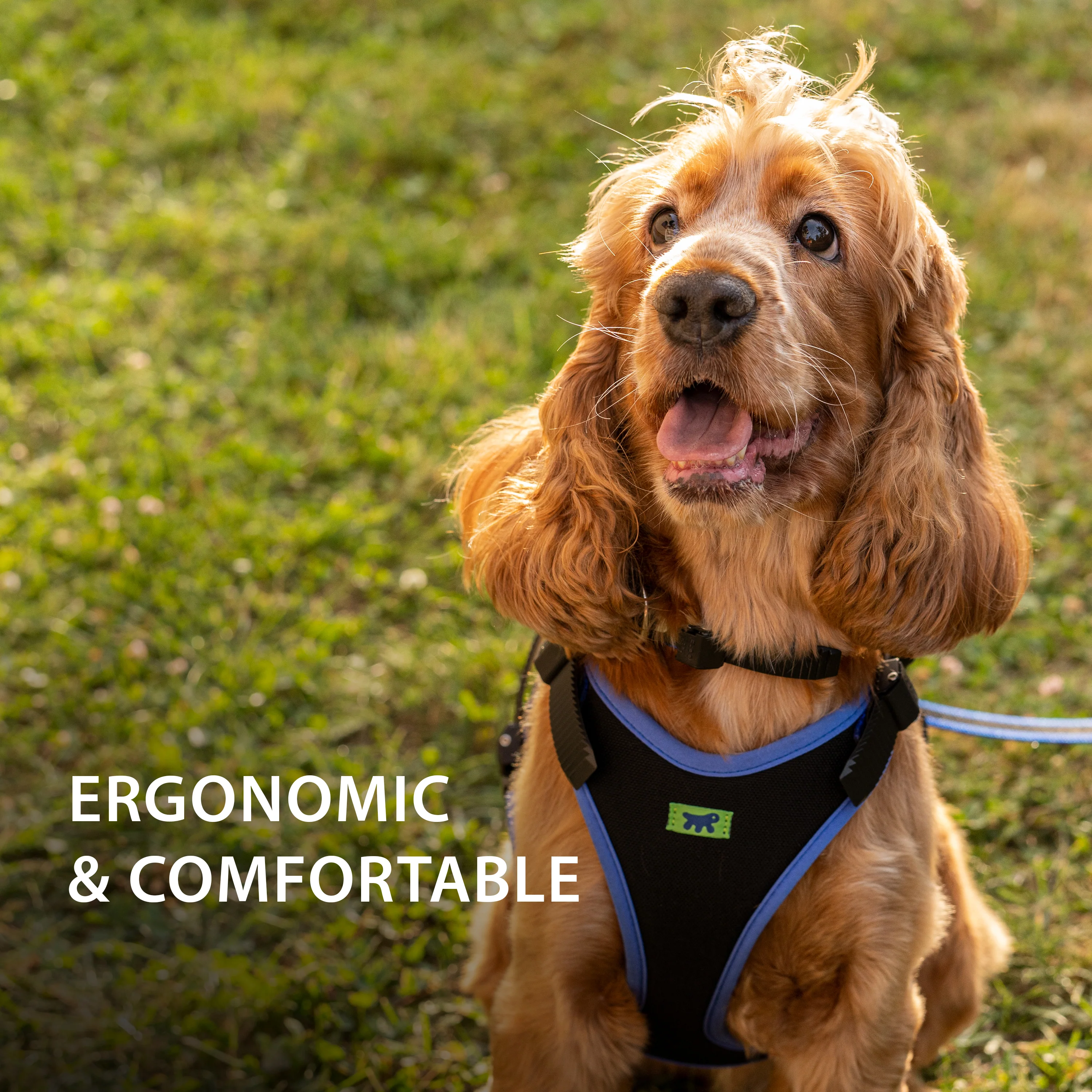 ERGOCOMFORT P - Image 46