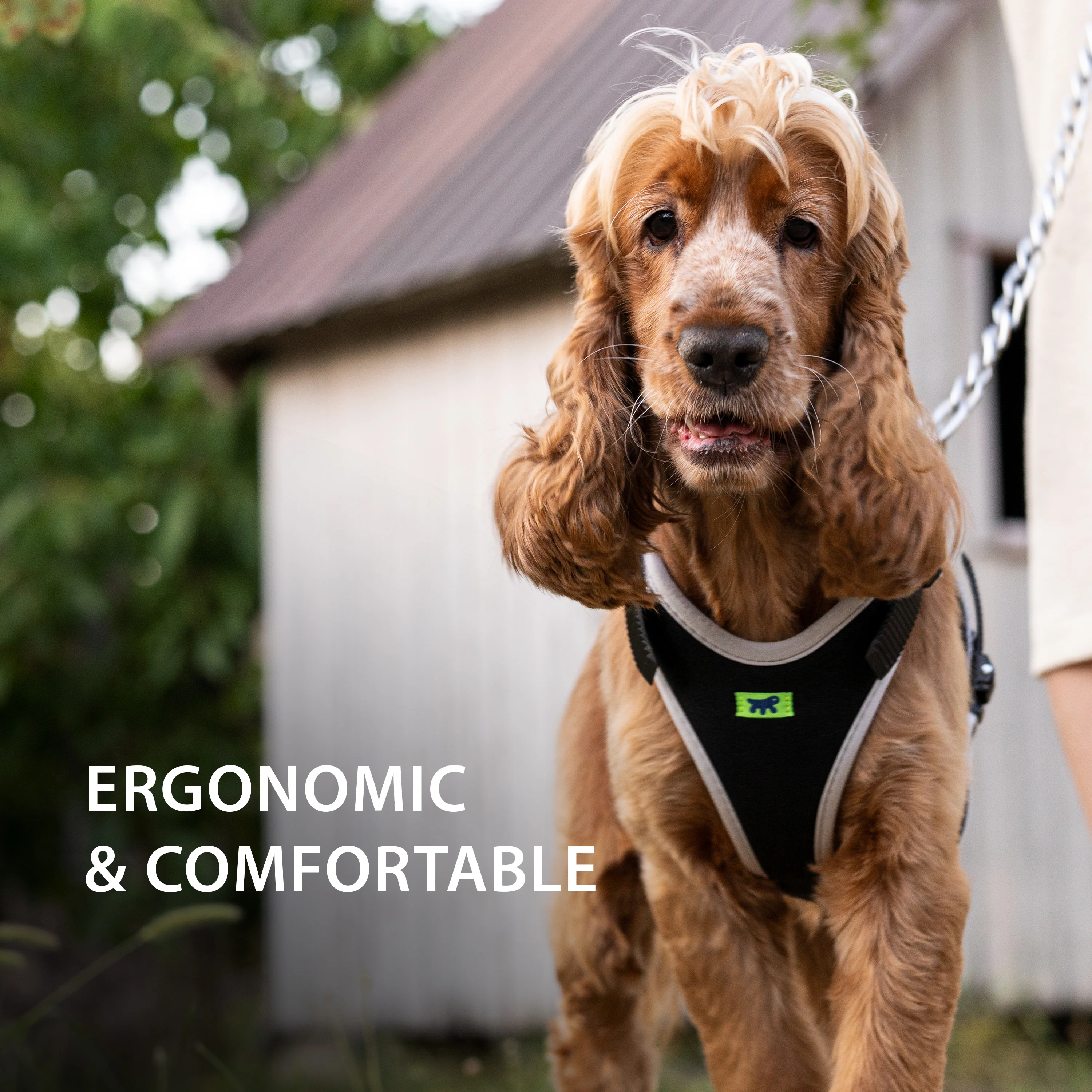 ERGOCOMFORT P - Image 63