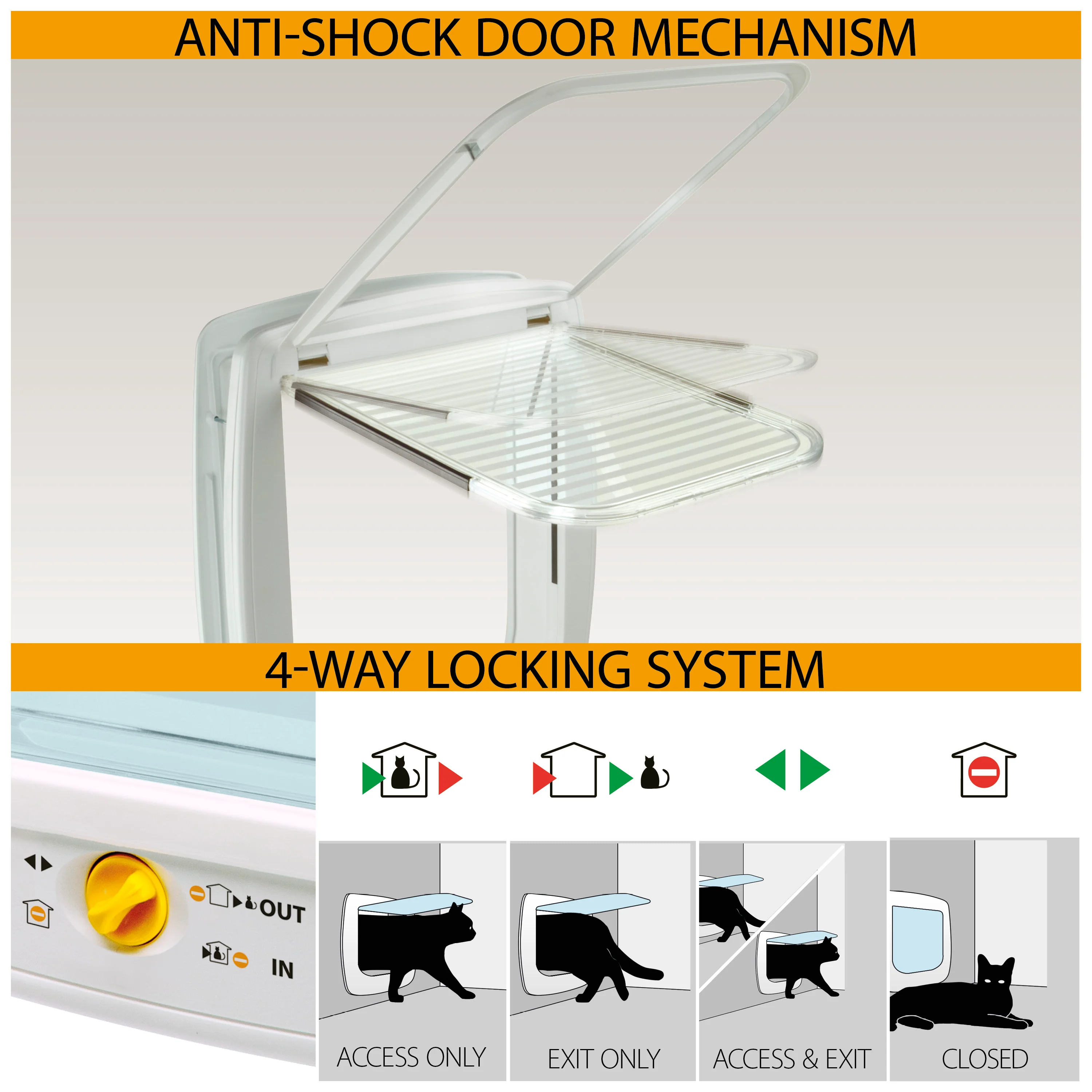 SWING 15 - Image 6
